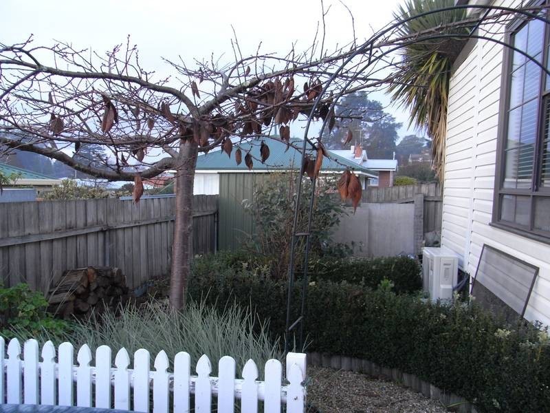 1/12 Prospect Street, Prospect TAS 7250