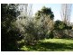 44 Heather Street, South Launceston TAS 7249
