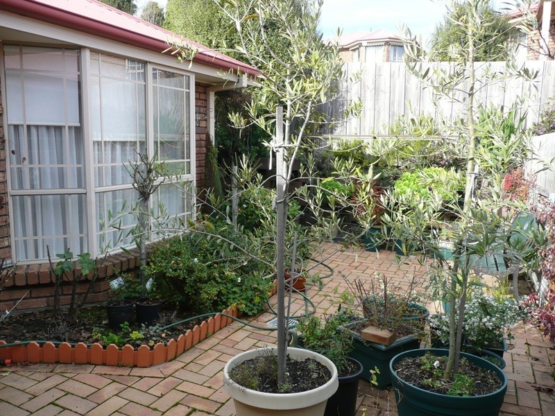 8 Sherwood Gardens, Newstead TAS 7250