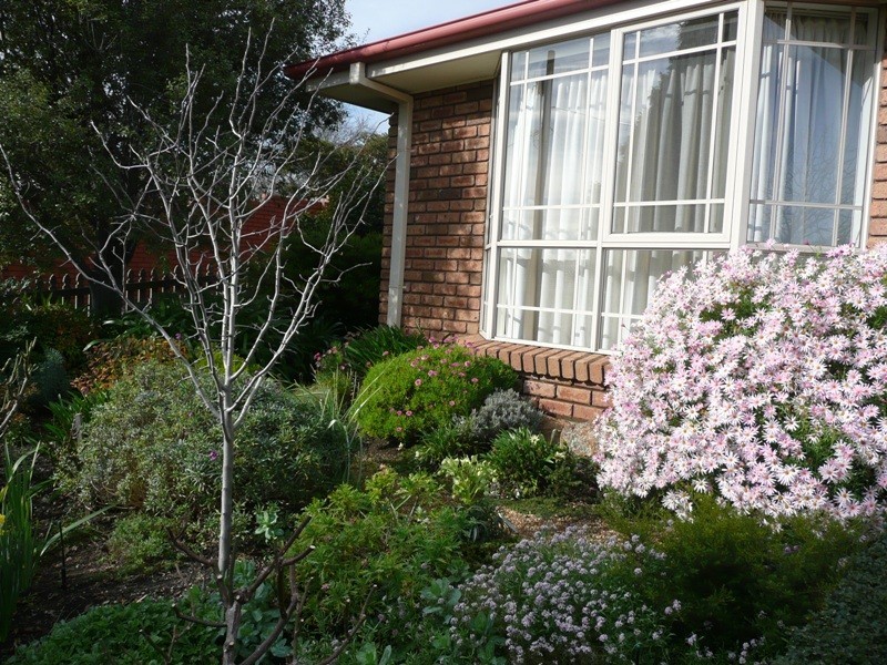 8 Sherwood Gardens, Newstead TAS 7250