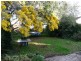 31 Windsor Street, Invermay TAS 7248