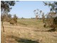 853 Logan Road, Evandale TAS 7212