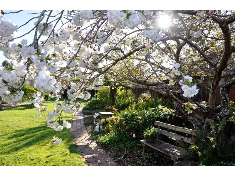 52 Nobelius Drive, Legana TAS 7277