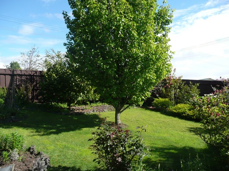 55 Normanstone Road, South Launceston TAS 7249