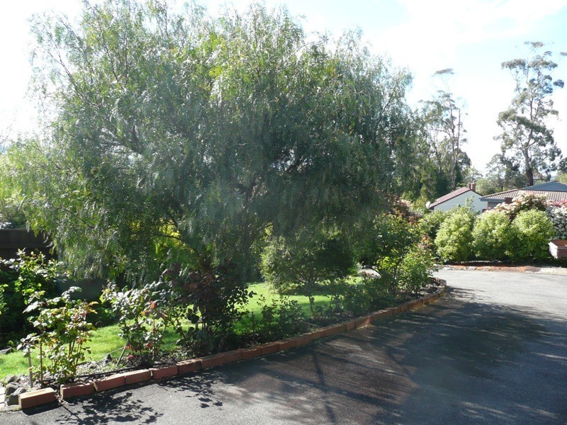 55 Normanstone Road, South Launceston TAS 7249