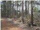 Lot 3498,  Four Springs Road, Selbourne TAS 7292