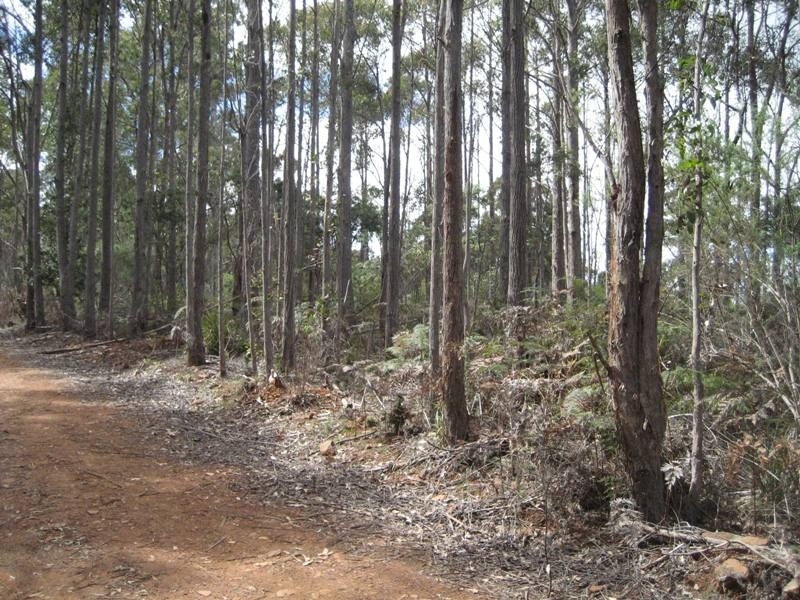 Lot 3498,  Four Springs Road, Selbourne TAS 7292
