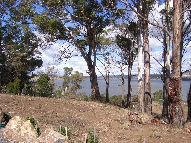 302 Windermere Road, Windermere TAS 7252