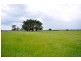 145 Black Hills Road, Whitemore TAS 7303