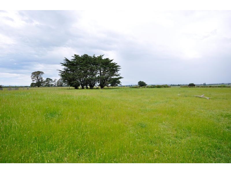 145 Black Hills Road, Whitemore TAS 7303