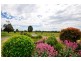 145 Black Hills Road, Whitemore TAS 7303