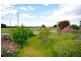 145 Black Hills Road, Whitemore TAS 7303