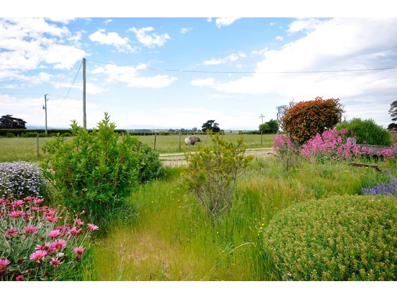 145 Black Hills Road, Whitemore TAS 7303