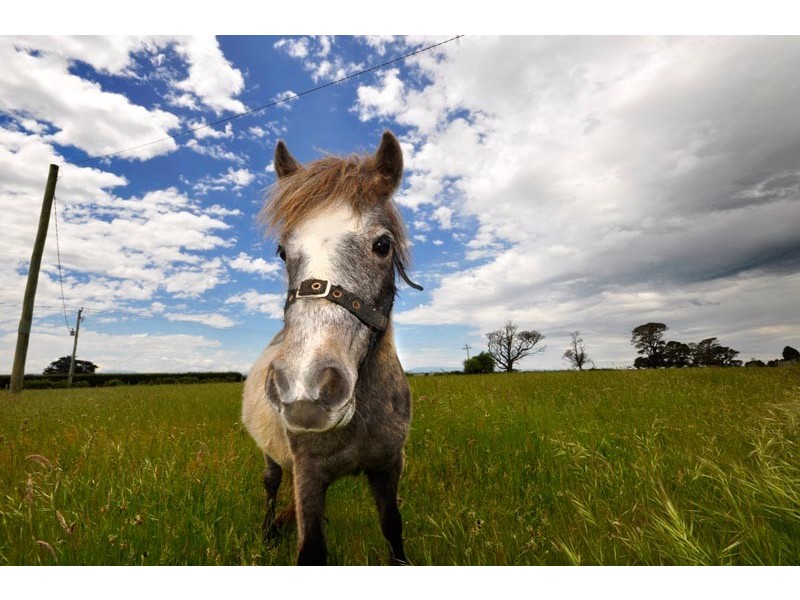145 Black Hills Road, Whitemore TAS 7303