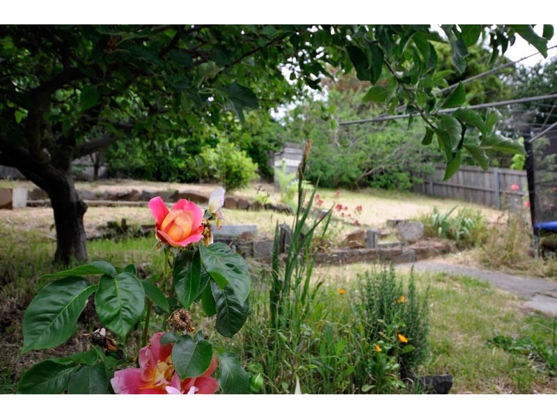108 Penquite Road, Newstead TAS 7250