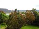 94 David Street, Newstead TAS 7250