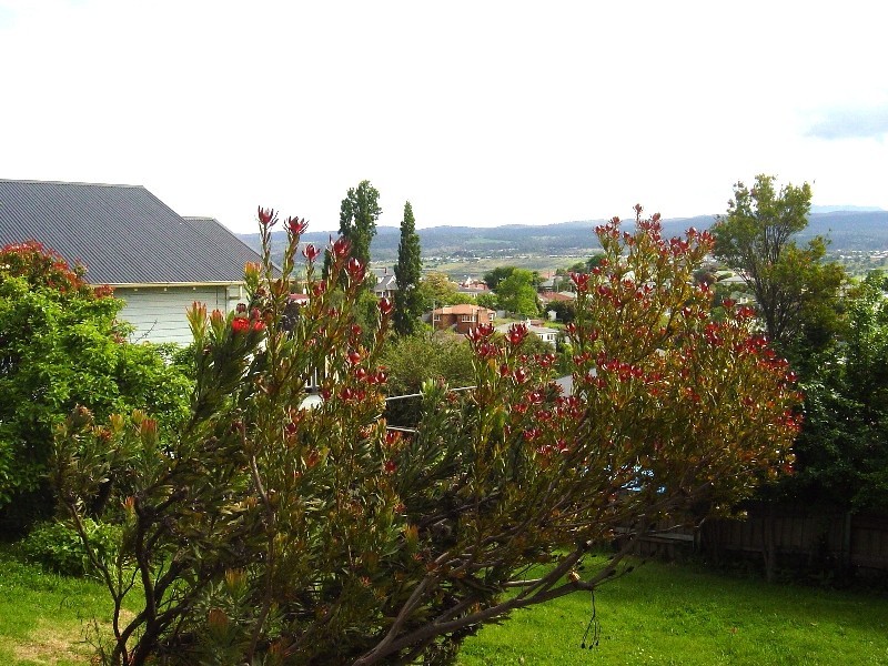 94 David Street, Newstead TAS 7250