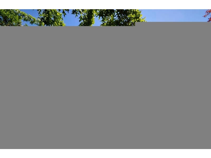 14 Munford Street, Kings Meadows TAS 7249