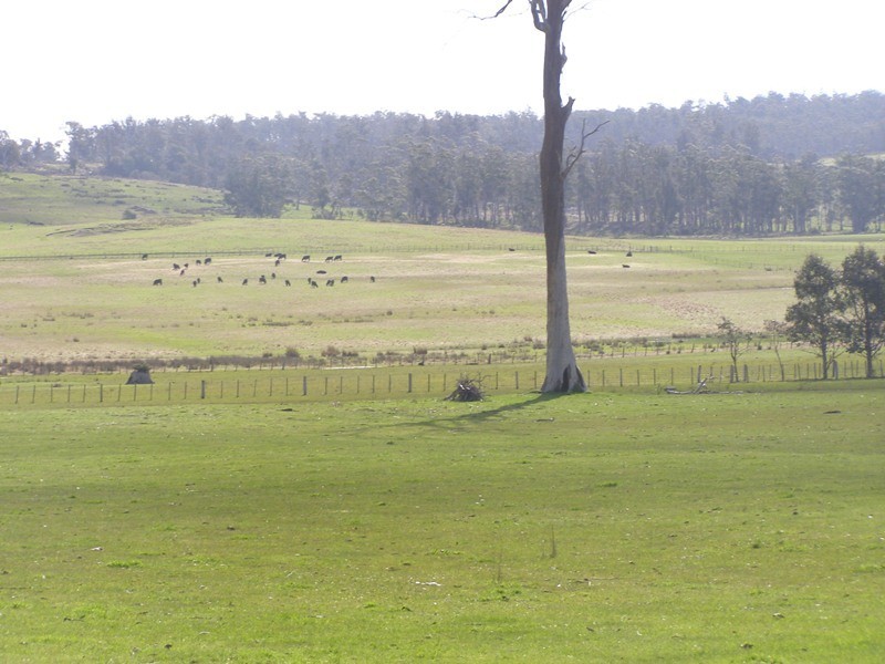 1570 Bridgenorth Road, Rosevale TAS 7292