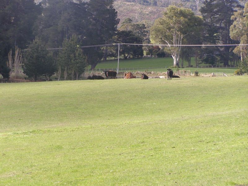 1570 Bridgenorth Road, Rosevale TAS 7292