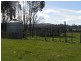 1570 Bridgenorth Road, Rosevale TAS 7292