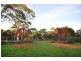 10 Travellers Drive, Travellers Rest TAS 7250