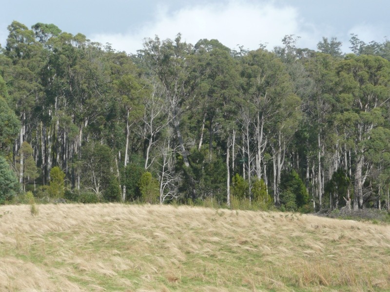 470 Long Plains Road, Bridgenorth TAS 7277