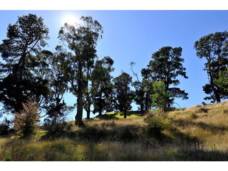 938 Pateena Road, Longford TAS 7301