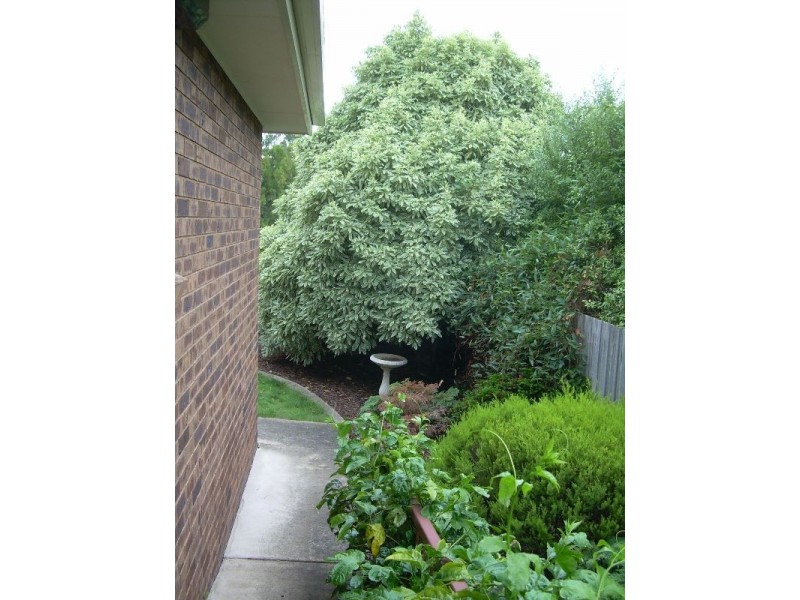 1/16 Lucy Place, Prospect TAS 7250