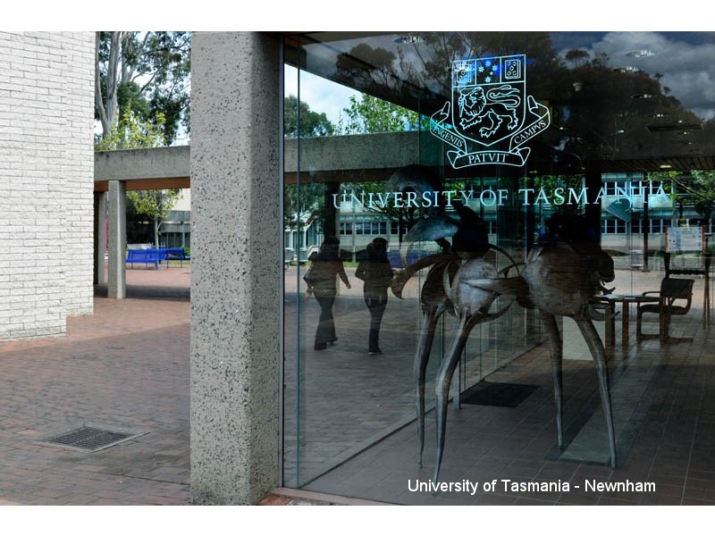 7 Crestview Court, Newnham TAS 7248