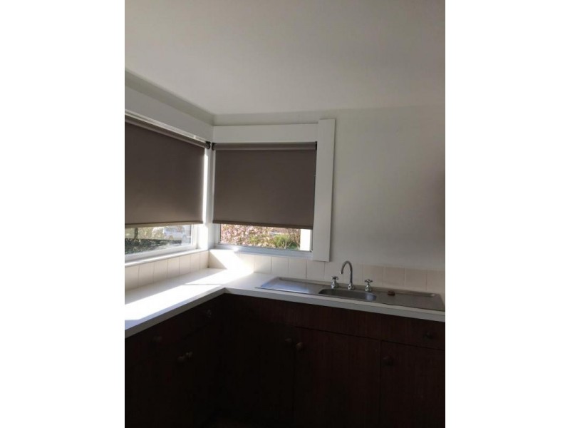 13 Cimitiere Street, Launceston TAS 7250