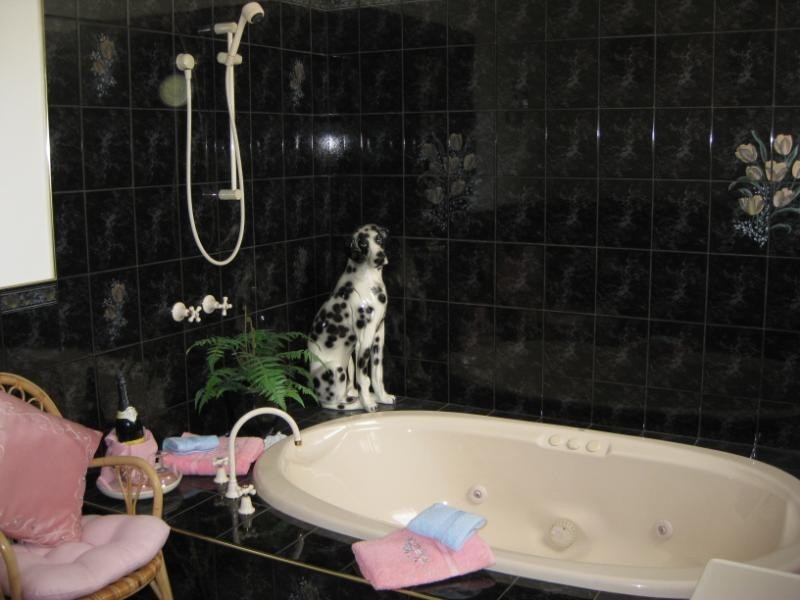 20 Penrith Street, Riverside TAS 7250