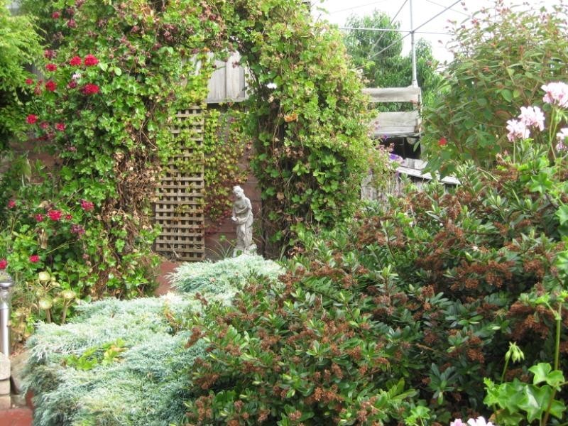 20 Penrith Street, Riverside TAS 7250