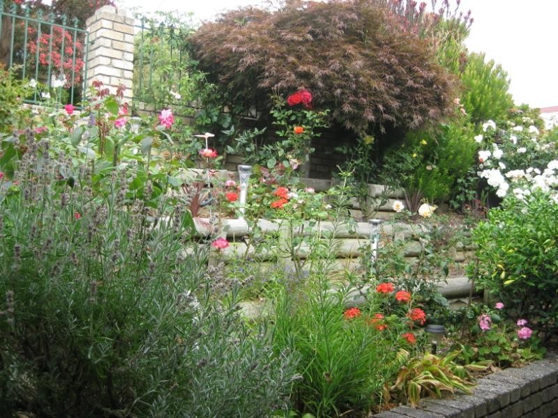 20 Penrith Street, Riverside TAS 7250