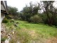 164-166 Westwood Street, Bridport TAS 7262