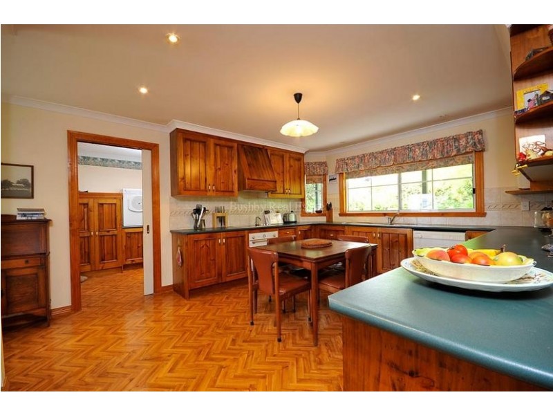 29 Newlands Street, Trevallyn TAS 7250