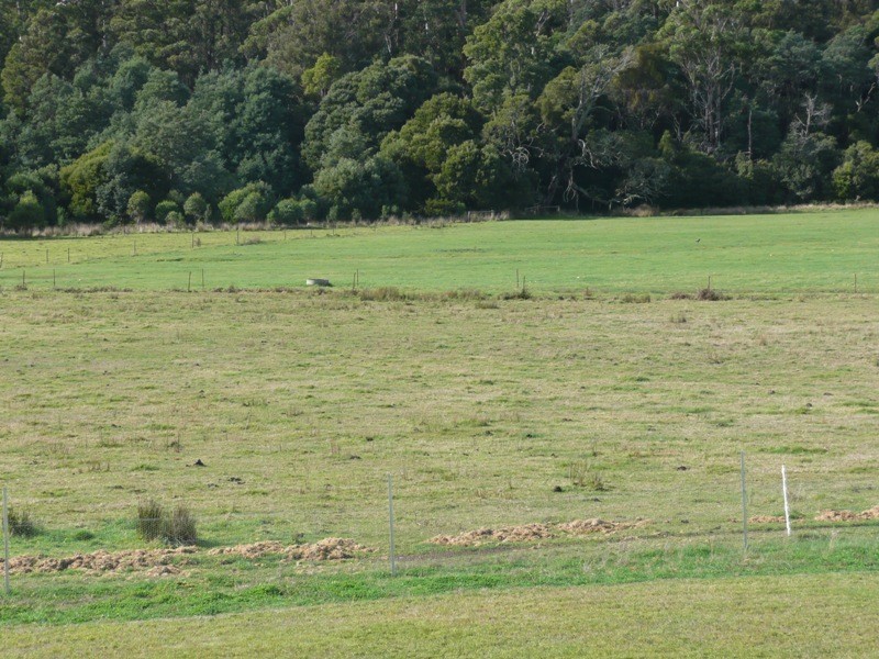 185 Lewis Road, Pipers River TAS 7252