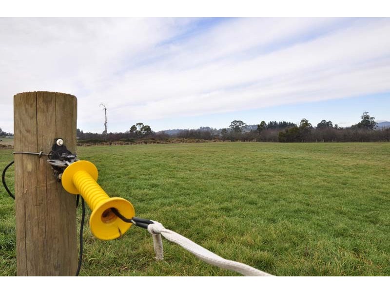 85 Franklin Street, Westbury TAS 7303