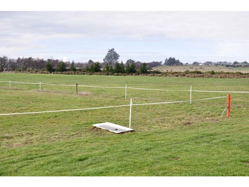 85 Franklin Street, Westbury TAS 7303