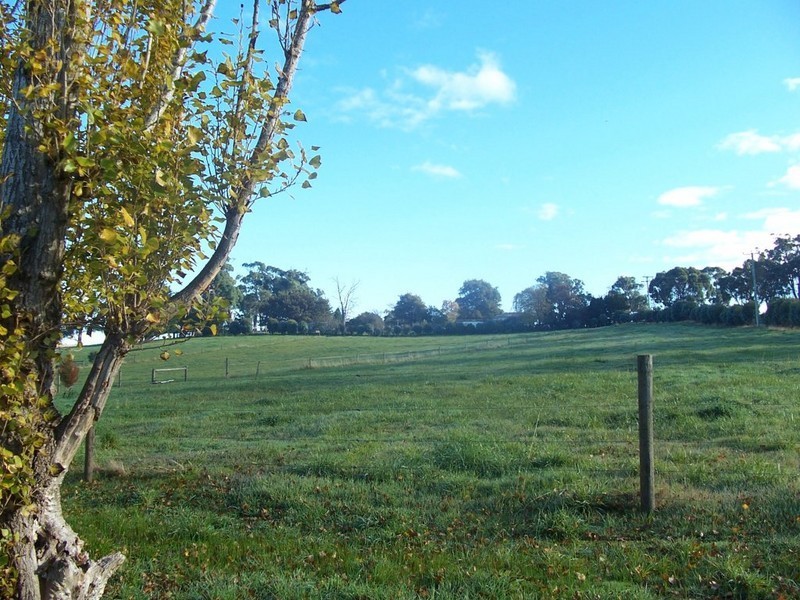 1129 East Tamar Highway, Dilston TAS 7252