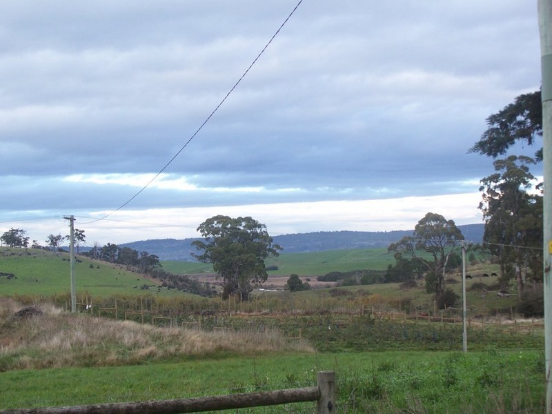 1129 East Tamar Highway, Dilston TAS 7252