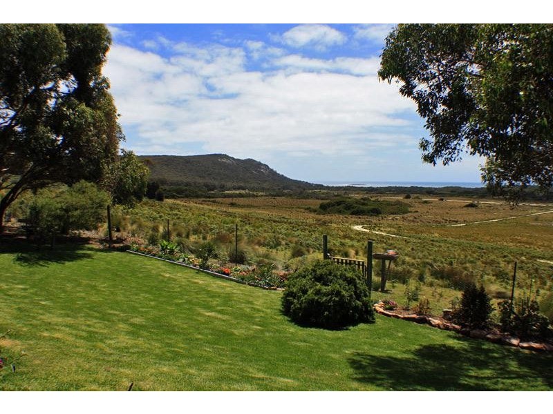 373 Killiecrankie Road, Killiecrankie TAS 7255