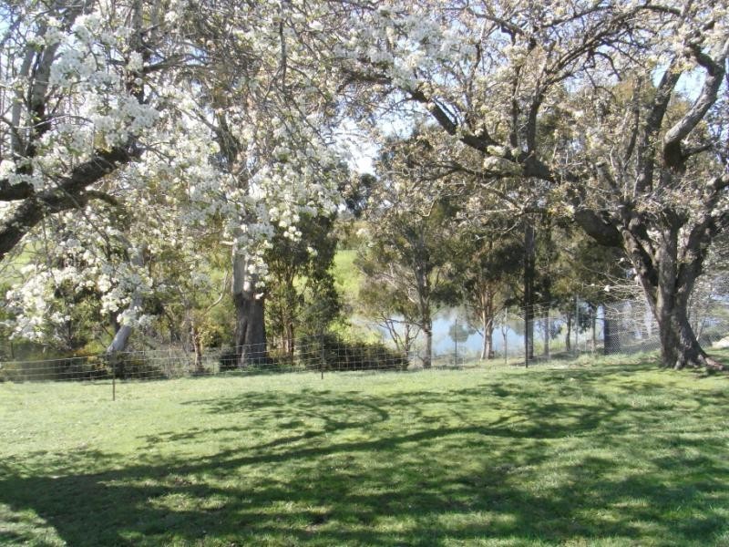 35/ Rutherglen Village, Hadspen TAS 7290