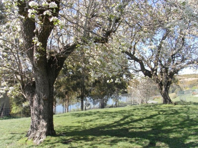 35/ Rutherglen Village, Hadspen TAS 7290