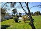 77 Robert Street, Beauty Point TAS 7270