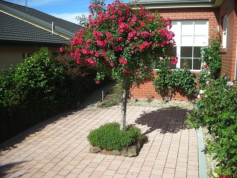 5 Grantham Close, Prospect TAS 7250