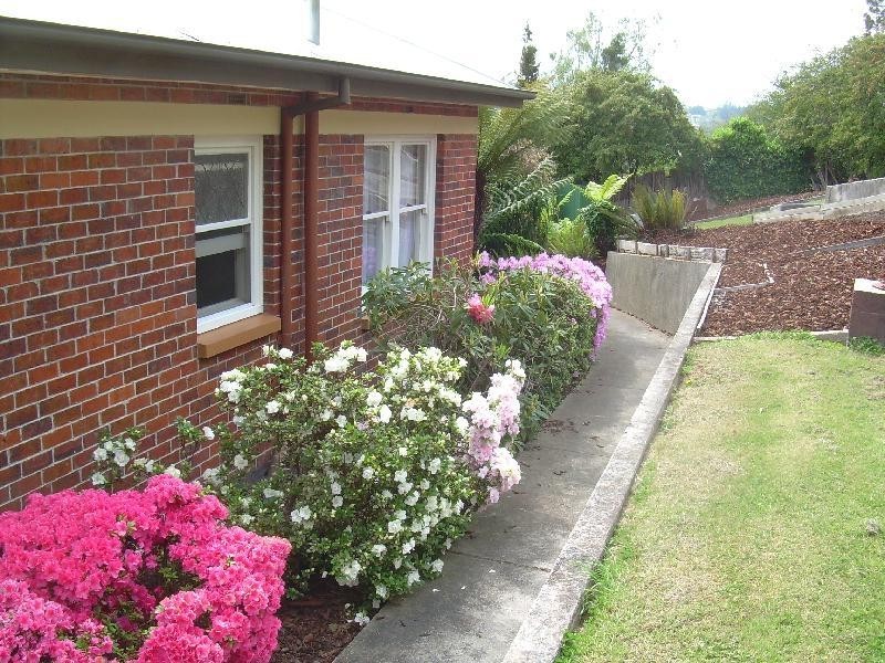85 Thistle St West Launceston, West Launceston TAS 7250