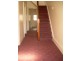 256 Charles Street, Launceston TAS 7250
