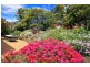 54 Grinter Street, Riverside TAS 7250