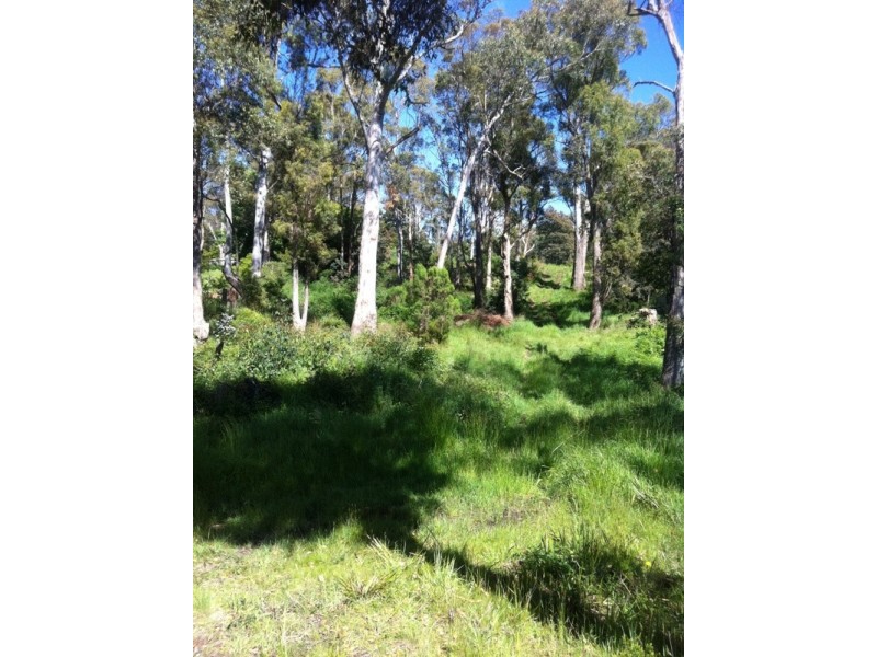 157 Rowella Road, Sidmouth TAS 7270